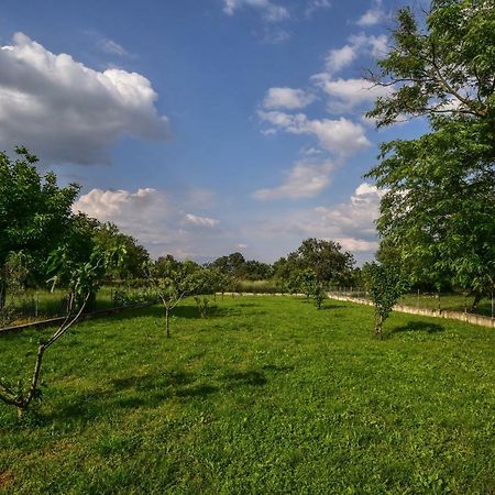 Vila Ankin Dvor Galovac  Exteriér fotografie