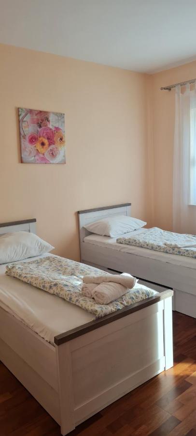 Vila Ankin Dvor Galovac  Exteriér fotografie
